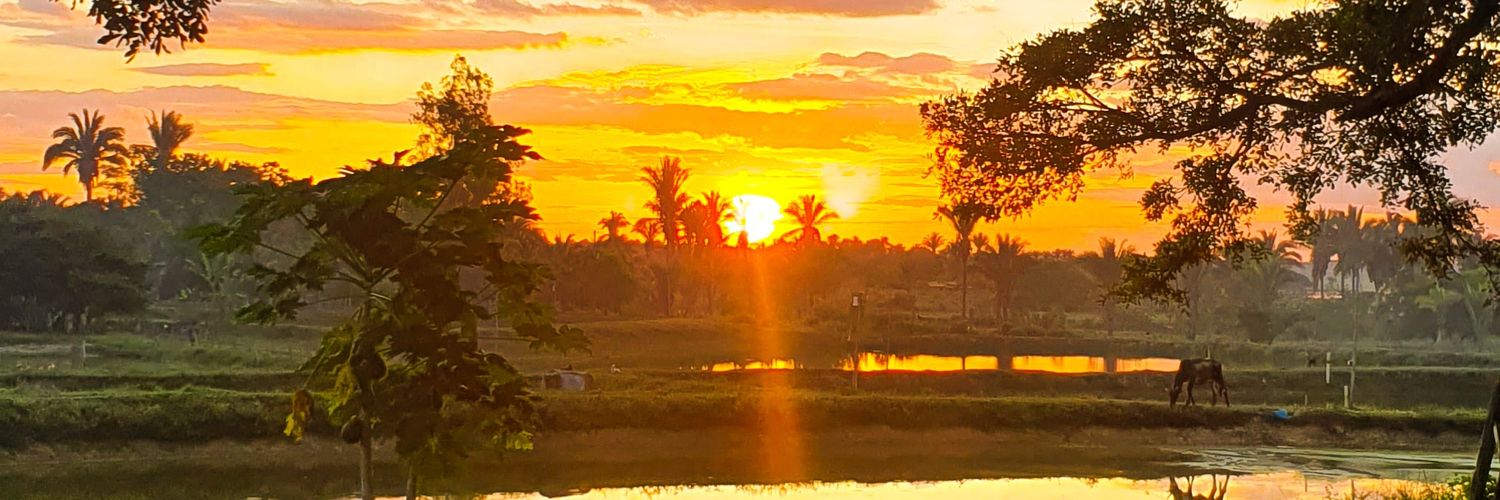 luanagsg84's profile banner image