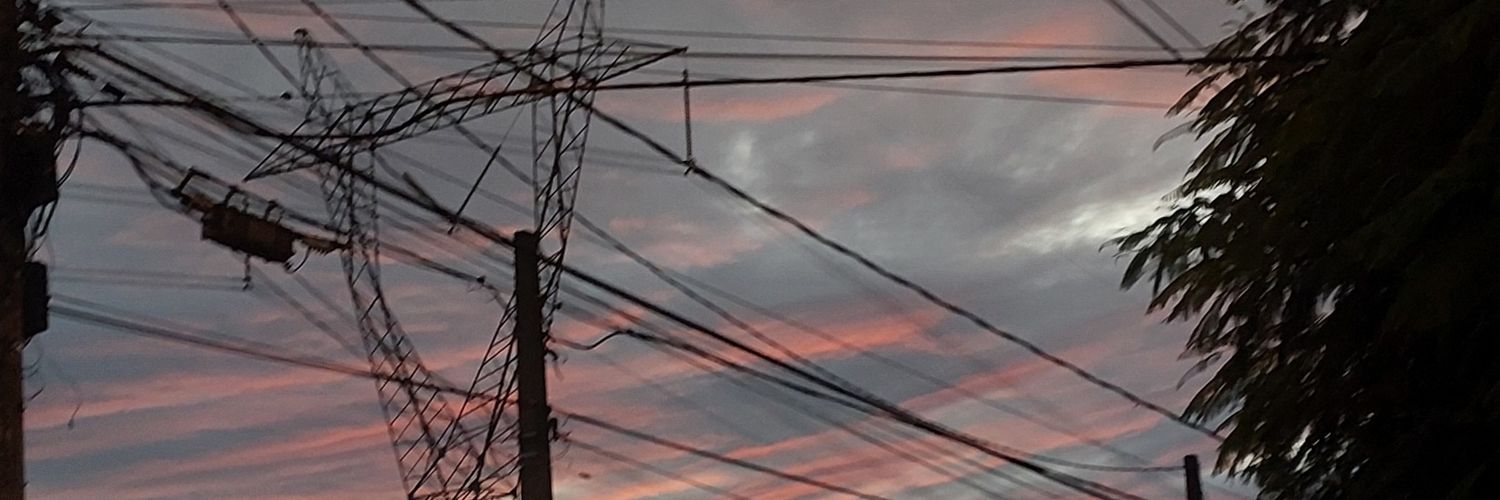 laurinhalind4's profile banner image