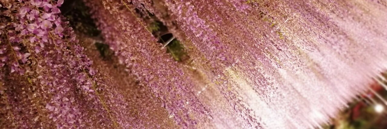 hrnmm's profile banner image