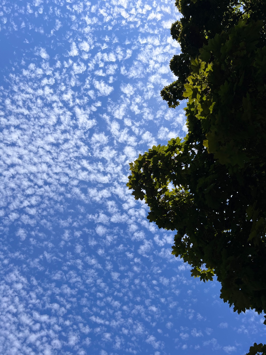 Justin Bennett banner