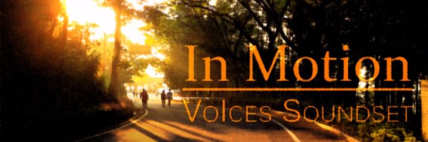 VoIcesSoundset Profile Banner