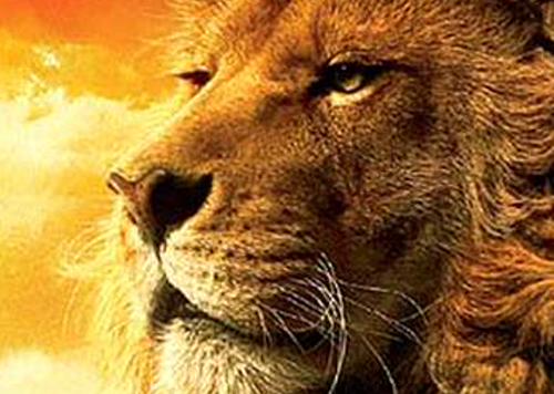 NgelMir73's profile banner image