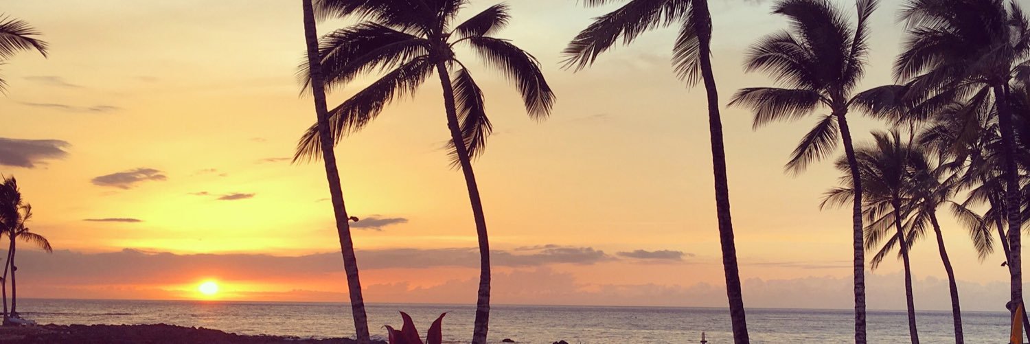 allisonp's profile banner image