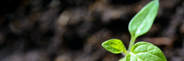 ClimActCal Profile Banner