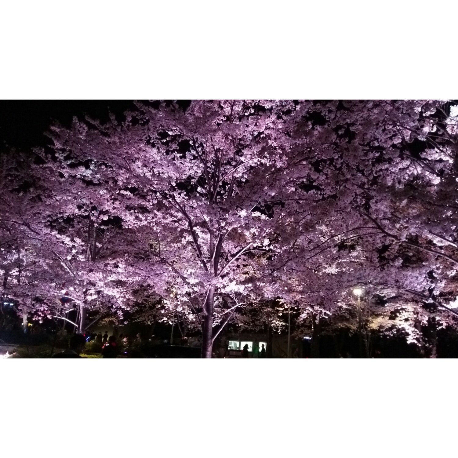 rill_rill's profile banner image