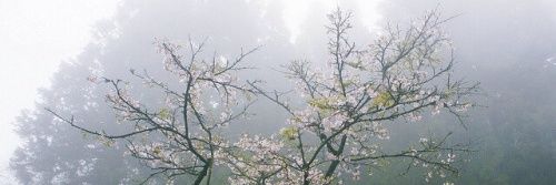 ahnhaniz's profile banner image