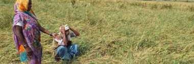 Pramod_Atri's profile banner image