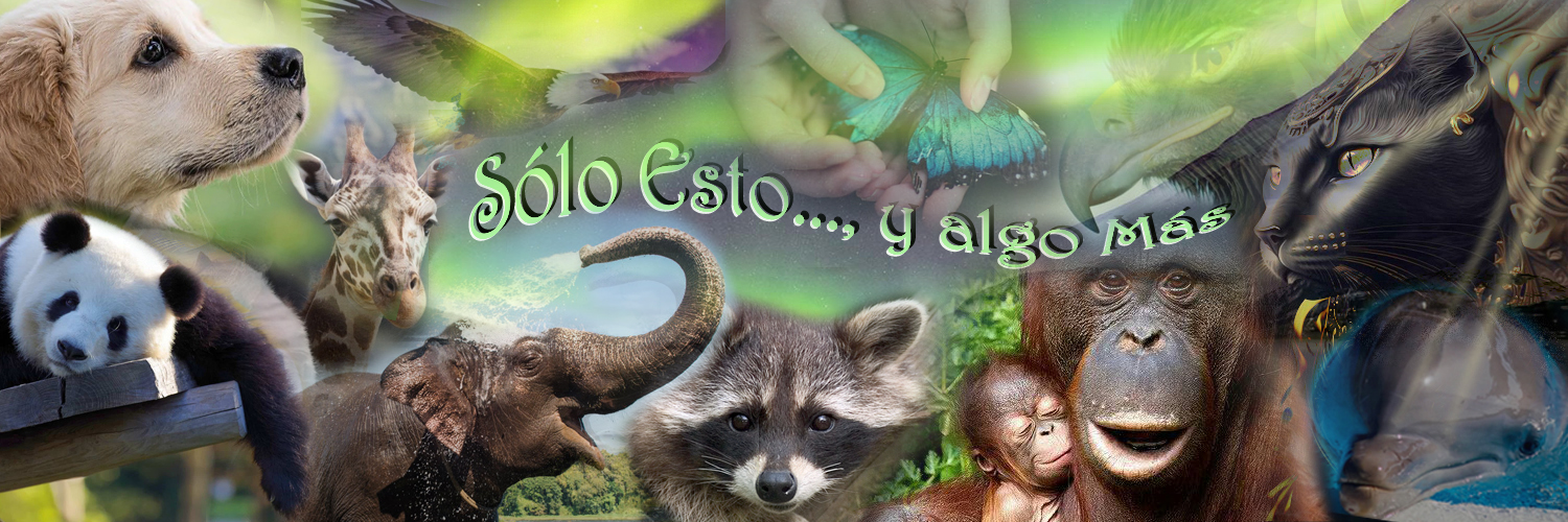 (っ◔◡◔)っ ♥ 𝕊ó𝕝𝕠 𝔼𝕤𝕥𝕠..., 𝕪 𝕒𝕝𝕘𝕠 𝕄á𝕤's banner