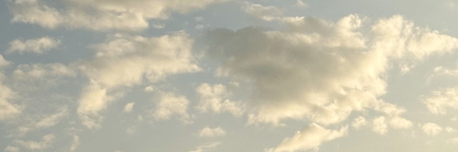 cangtip's profile banner image