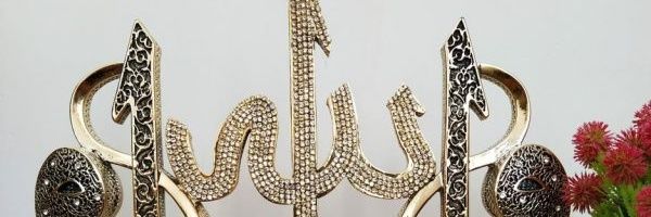Ayesha🐬 banner