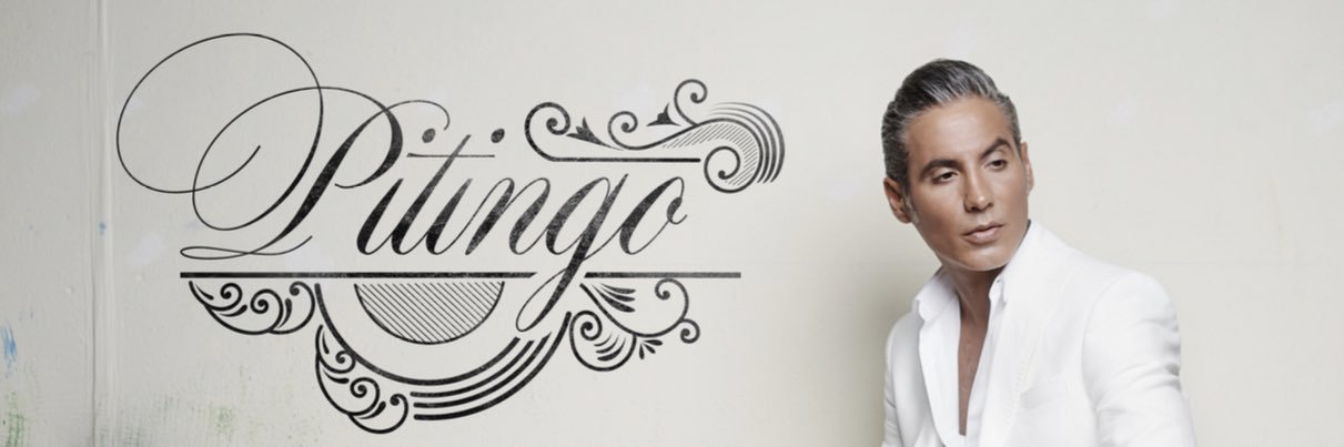 PITINGO ®'s banner