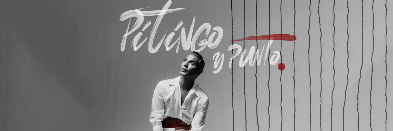 PITINGO ® banner