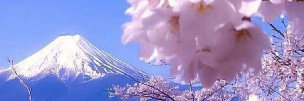 maririn870's profile banner image