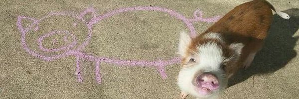 3535_99 Profile Banner