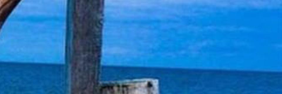 MeredithBarbie's profile banner image