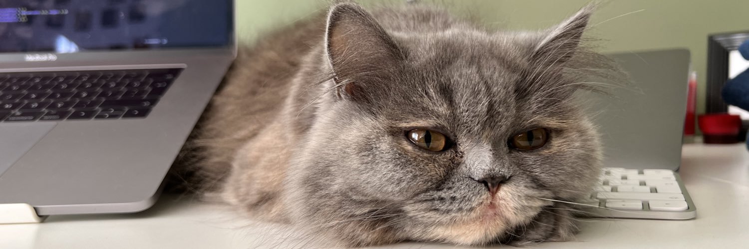 dildaezgi's profile banner image