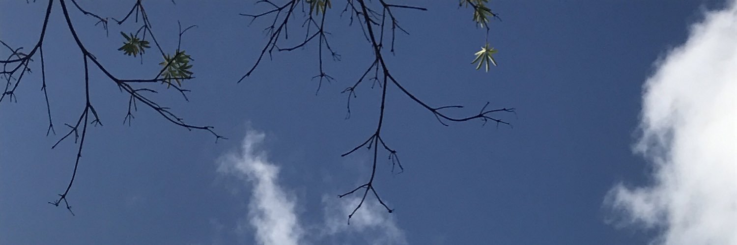 Thunder banner