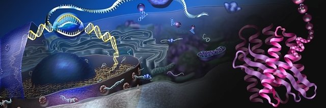 MolecularOpen's profile banner image