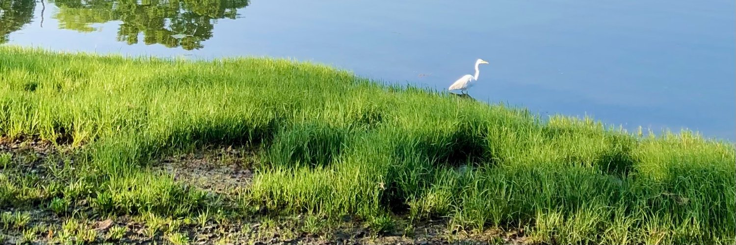 SteveHimmer's profile banner image