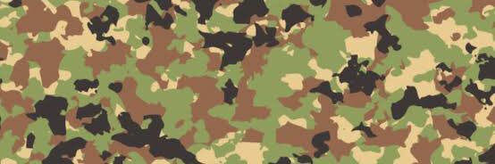 南の島の上等兵's banner