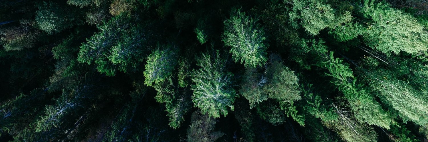 GreenFi banner