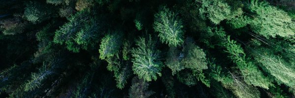 greenfibanking Profile Banner