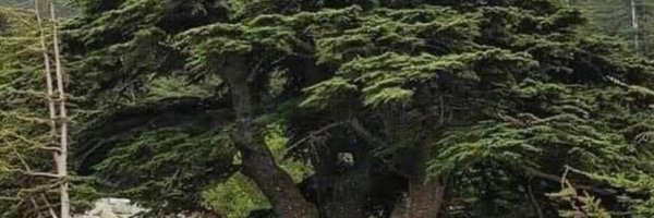 LaRevolte_LEB Profile Banner