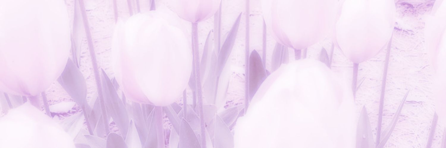 Isabela❀ banner