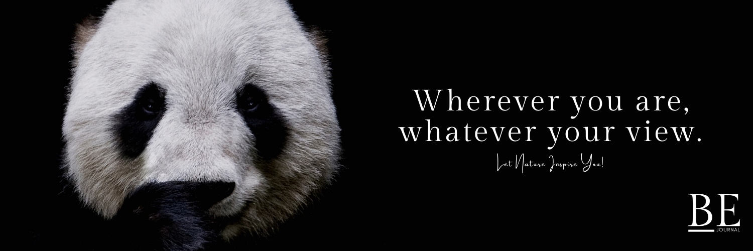 EarthEndeavours's profile banner image