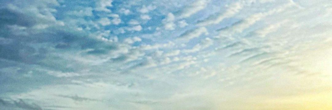 sidnushka_diary's profile banner image