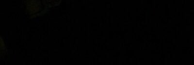 TaylaaRenee___'s profile banner image