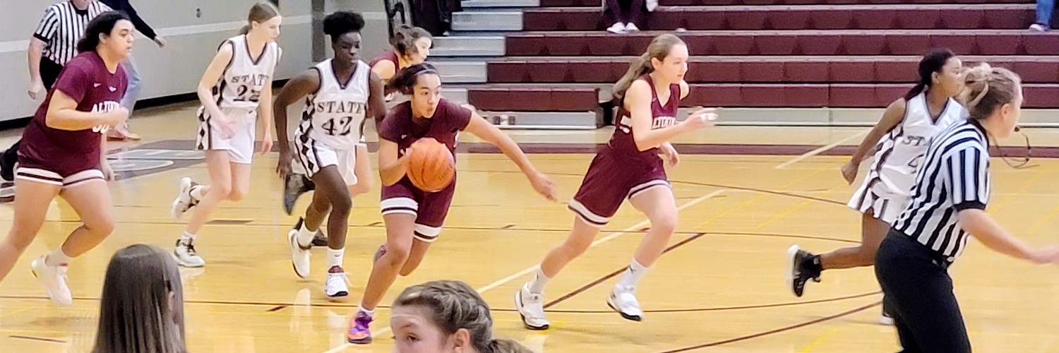 Zaelinh Nguyen-Moore banner