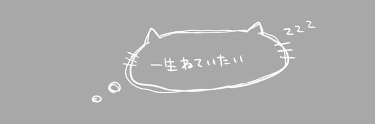 rei_s22's profile banner image