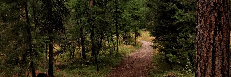 sutterbeth's profile banner image