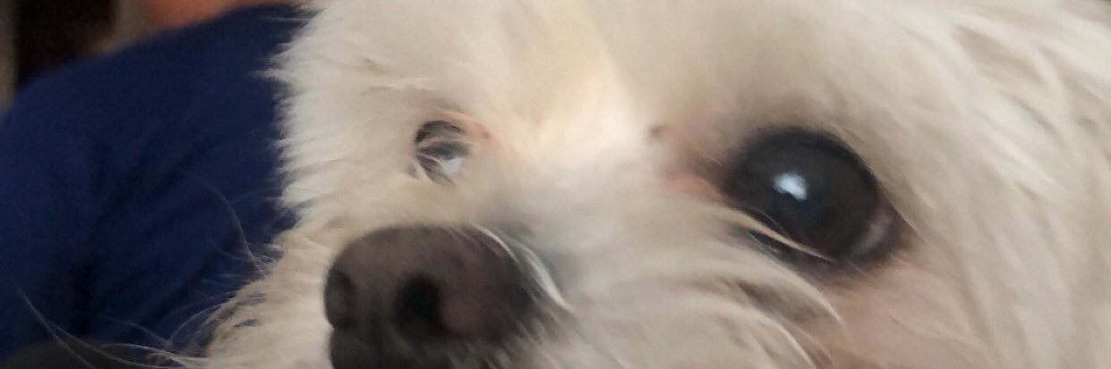 BanditMartin1's profile banner image