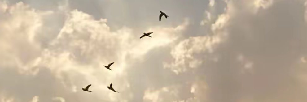 putakabag9696's profile banner image