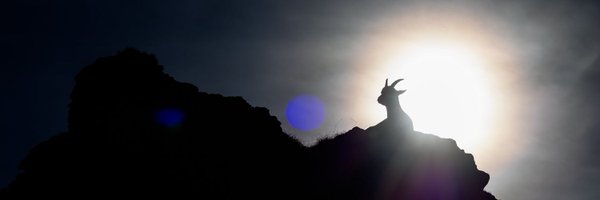 FlavioReber Profile Banner