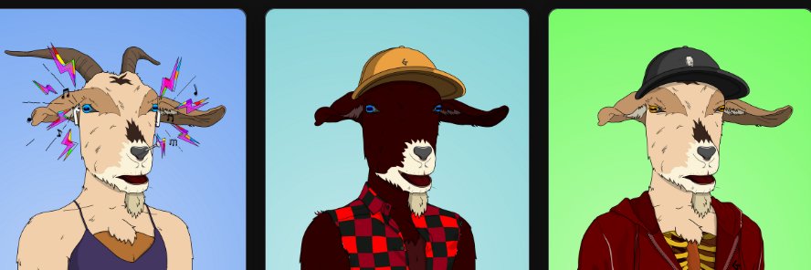 phooley banner