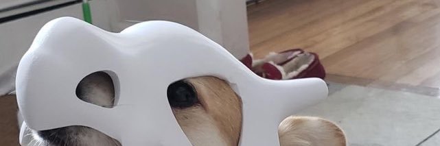 xHarwant's profile banner image