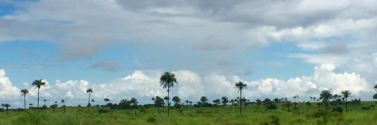 jodystephenson's profile banner image