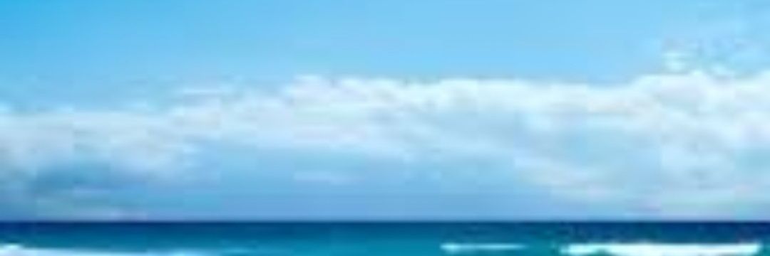 seinenbucho's profile banner image