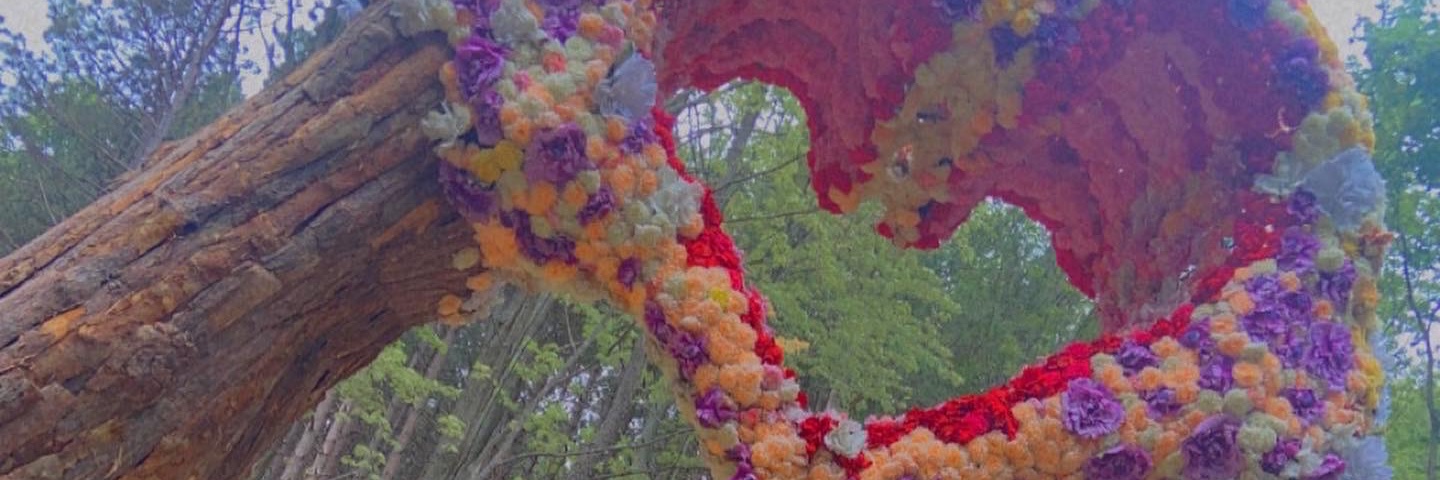 EAT ME PUSWA🍄 banner