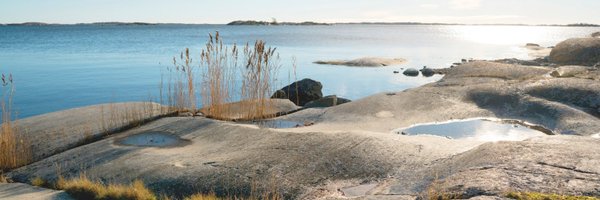 EmbSueciaChile Profile Banner