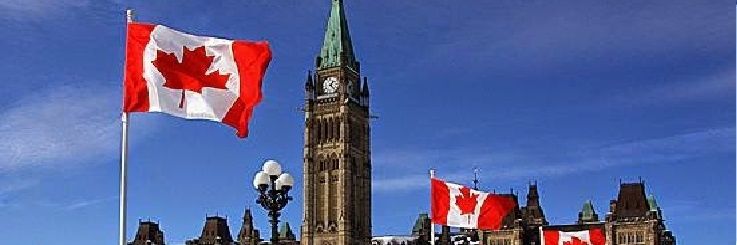 falleneagle13 banner