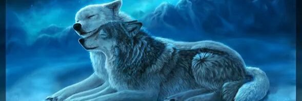healingheart's profile banner image