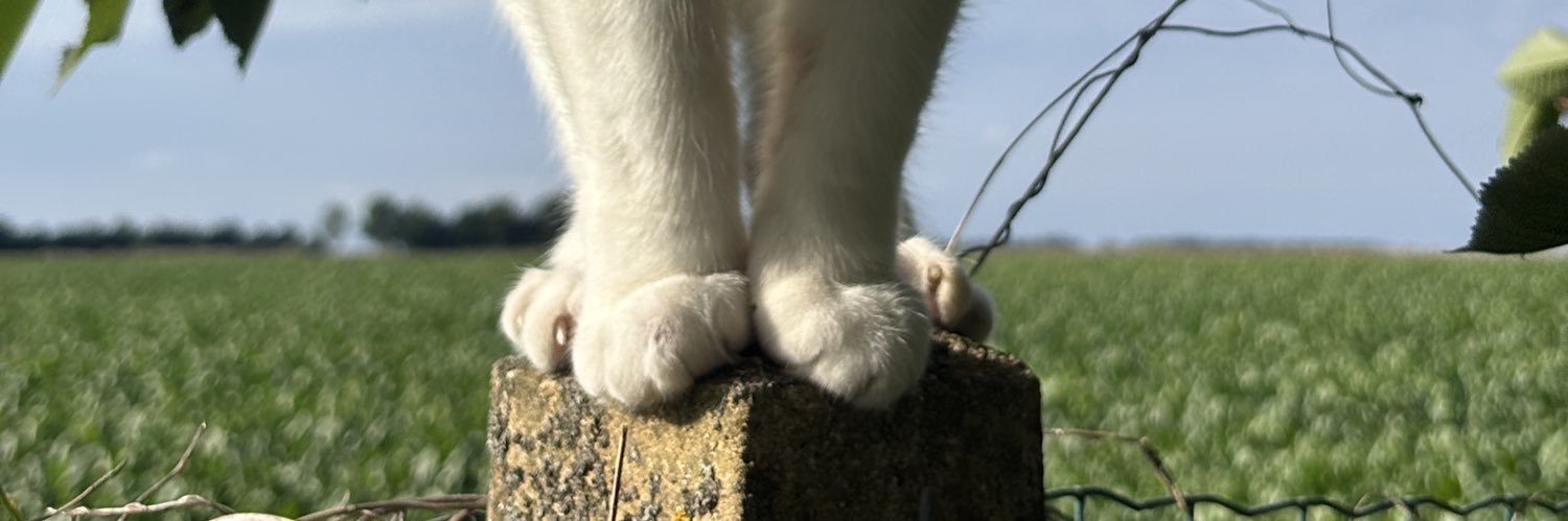 uuuserr3's profile banner image