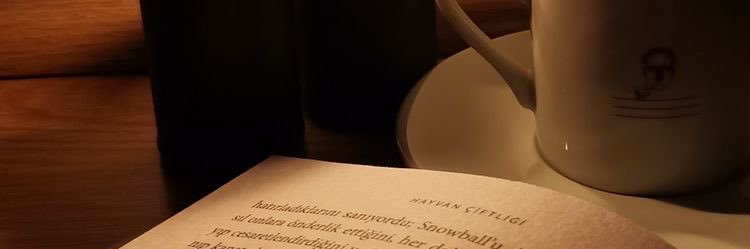 asrnca_'s profile banner image
