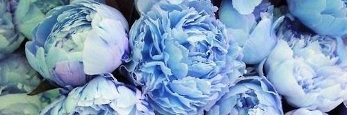 mjunveiled's profile banner image