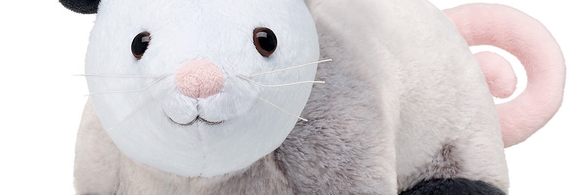 sal 🥕 banner