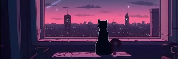 studycarol_ Profile Banner